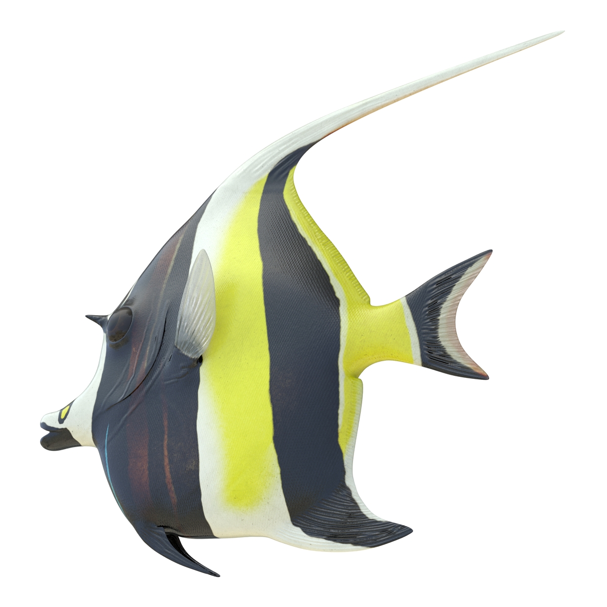 Moorish Idol Fish 3D