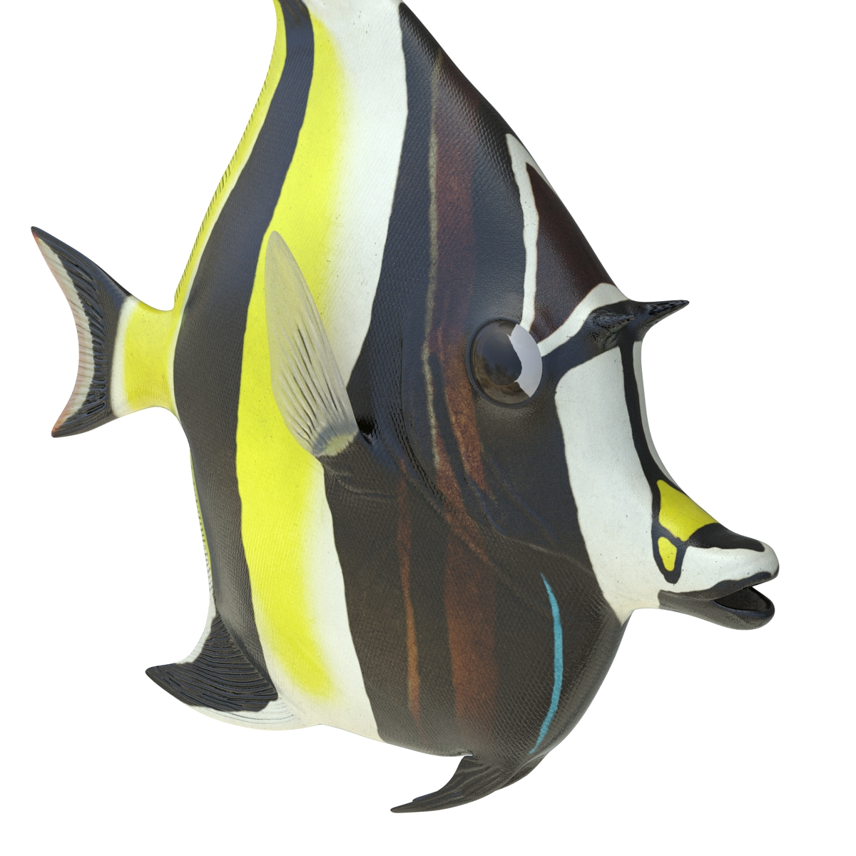 Moorish Idol Fish 3D