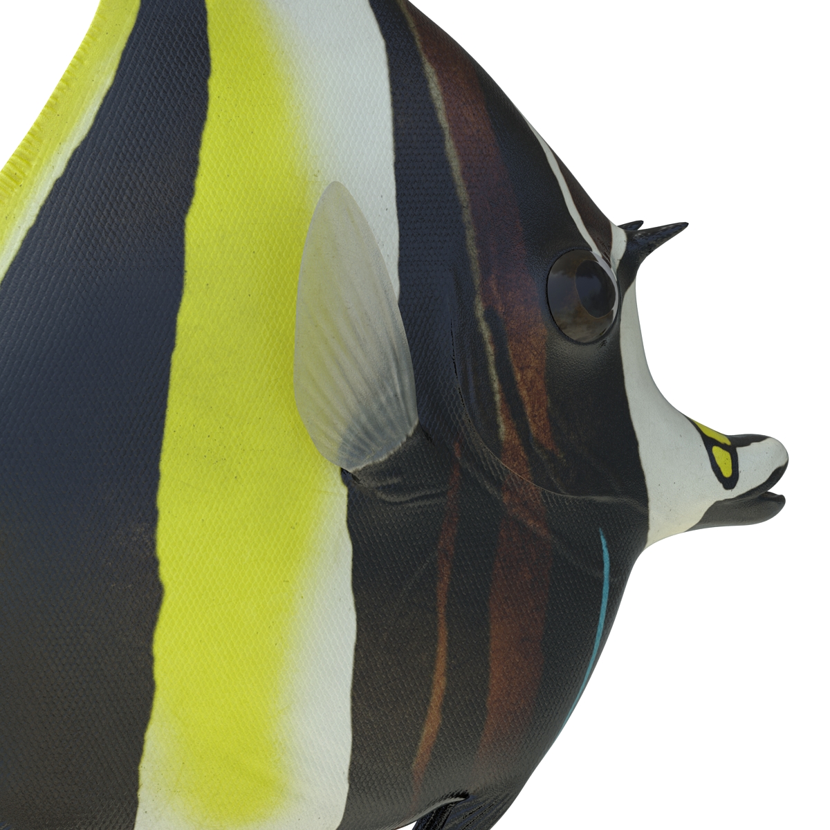 Moorish Idol Fish 3D