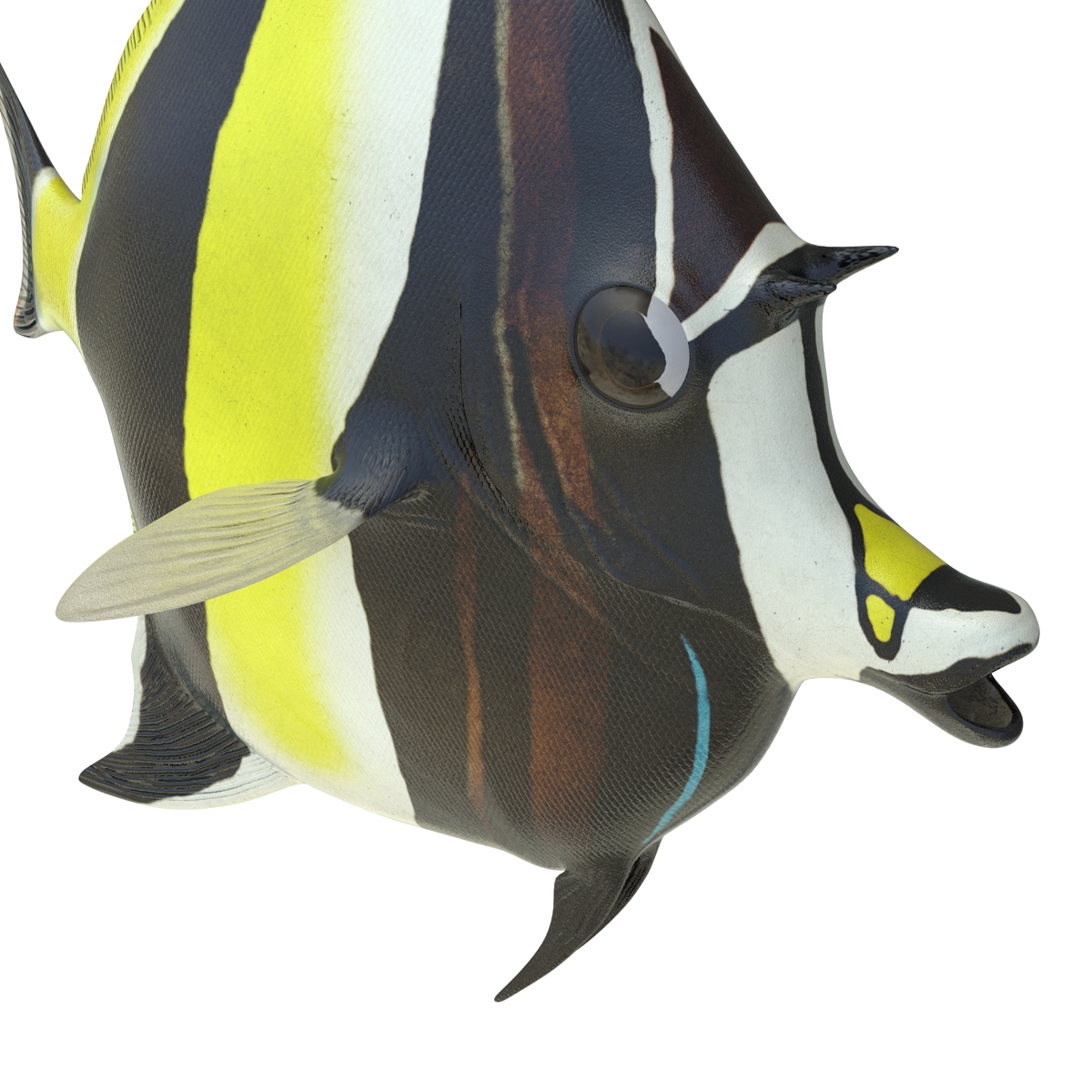 Moorish Idol Fish Pose 2 3D model