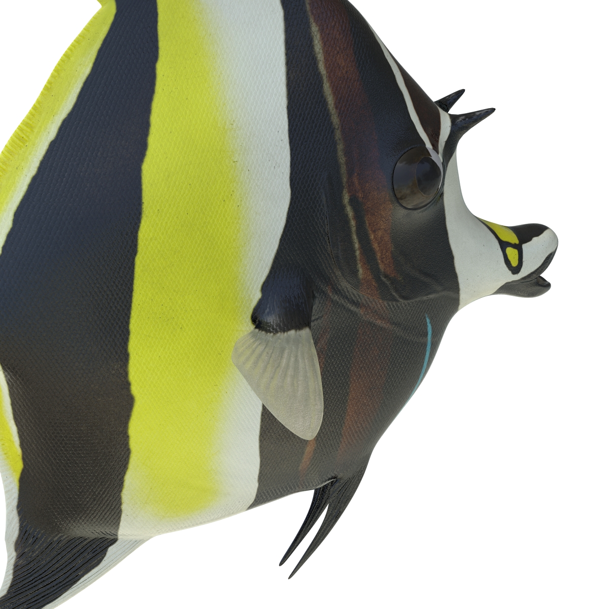 Moorish Idol Fish Pose 2 3D model