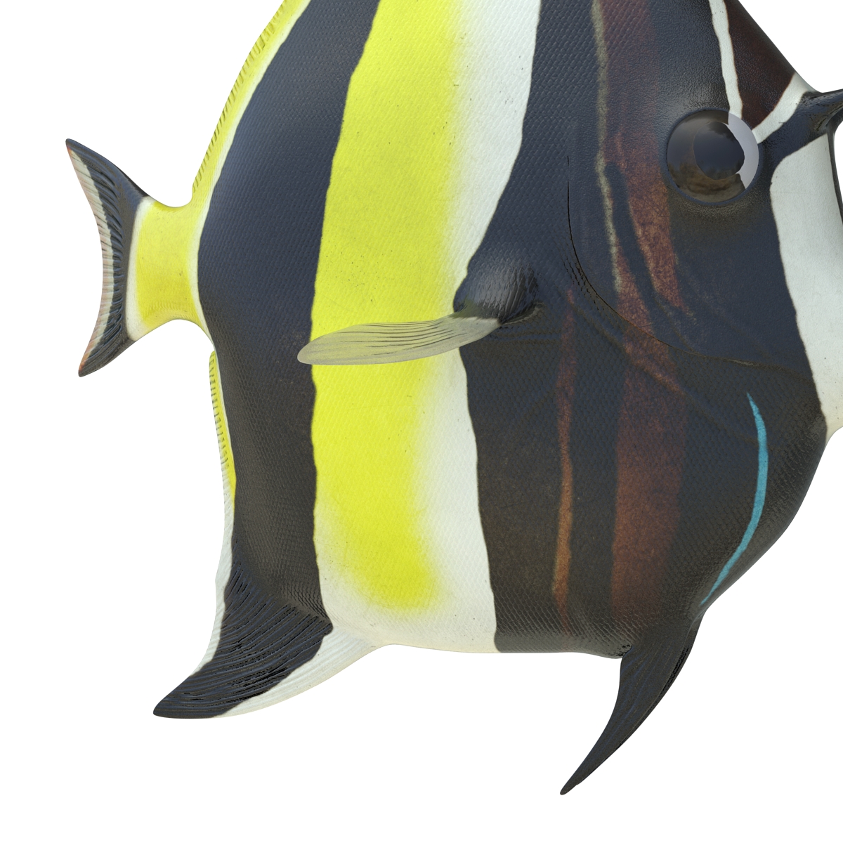 Moorish Idol Fish Pose 2 3D model