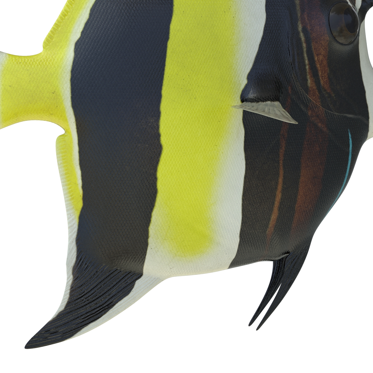 Moorish Idol Fish Pose 2 3D model