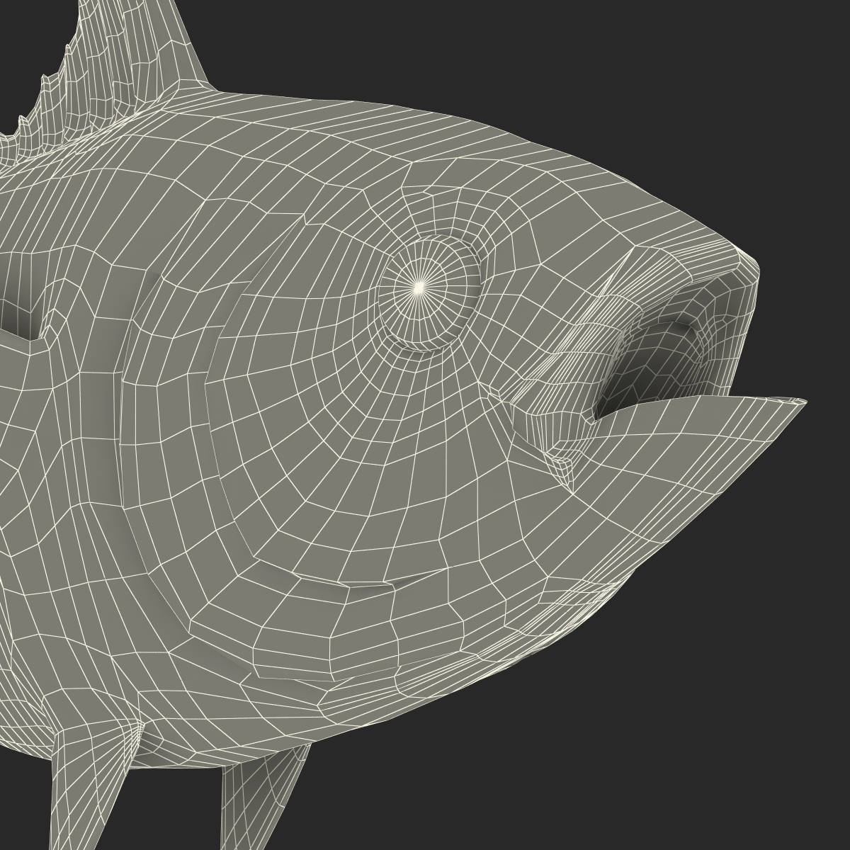 3D Tuna Fish Rigged