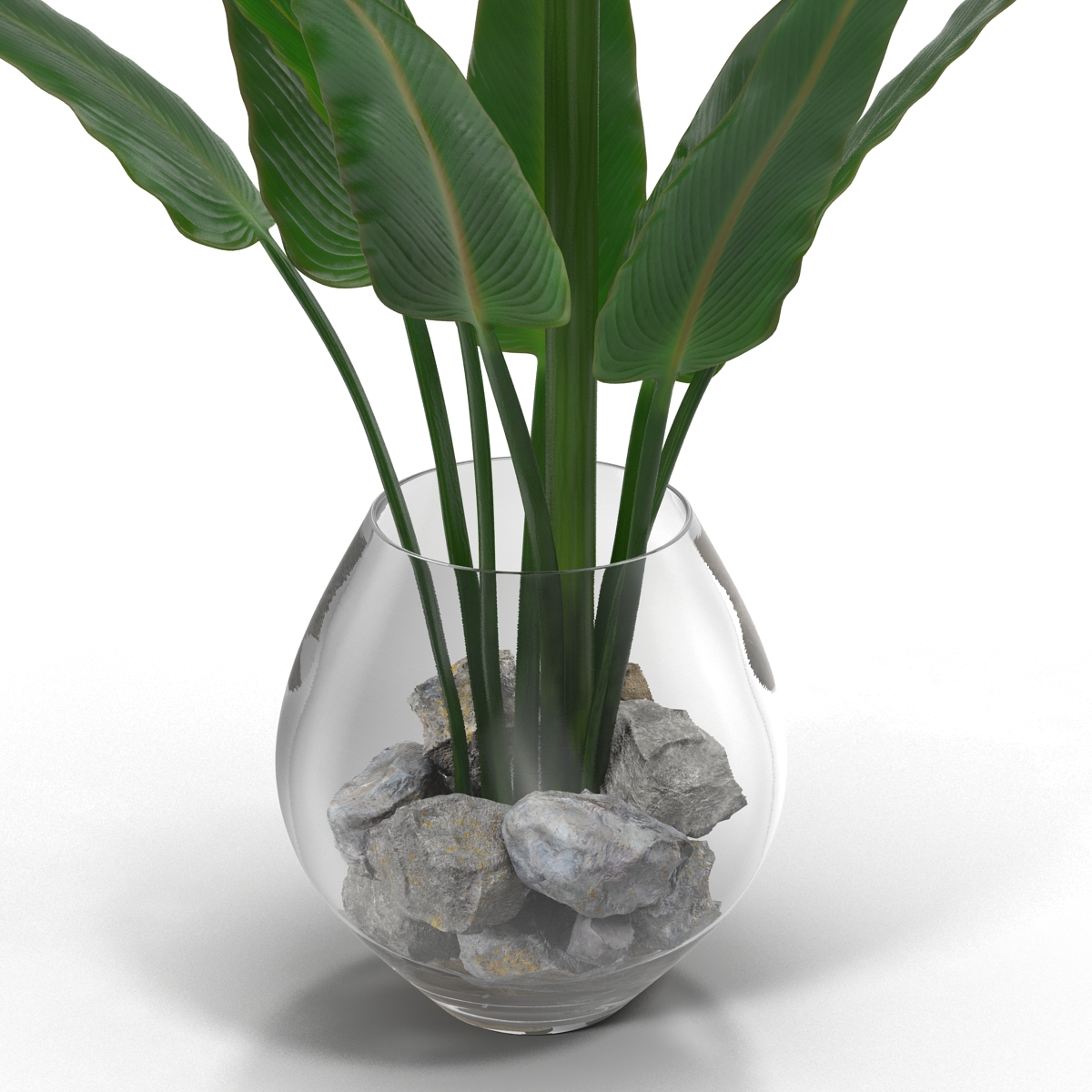 3D model Bird of Paradise in Glass Vase