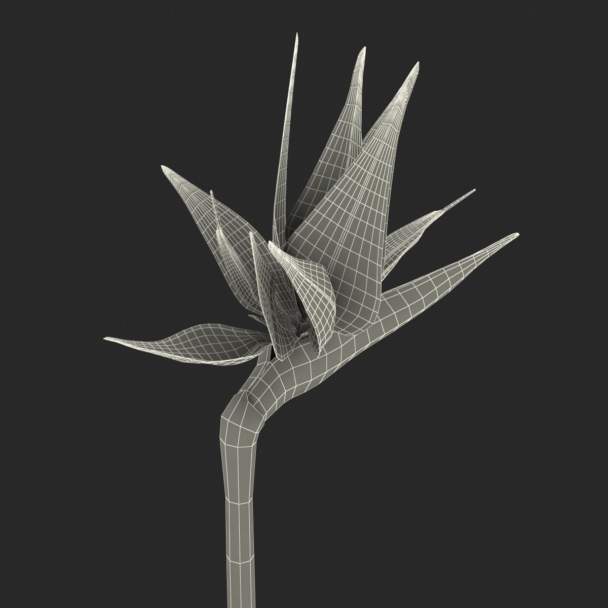 3D model Bird of Paradise in Glass Vase