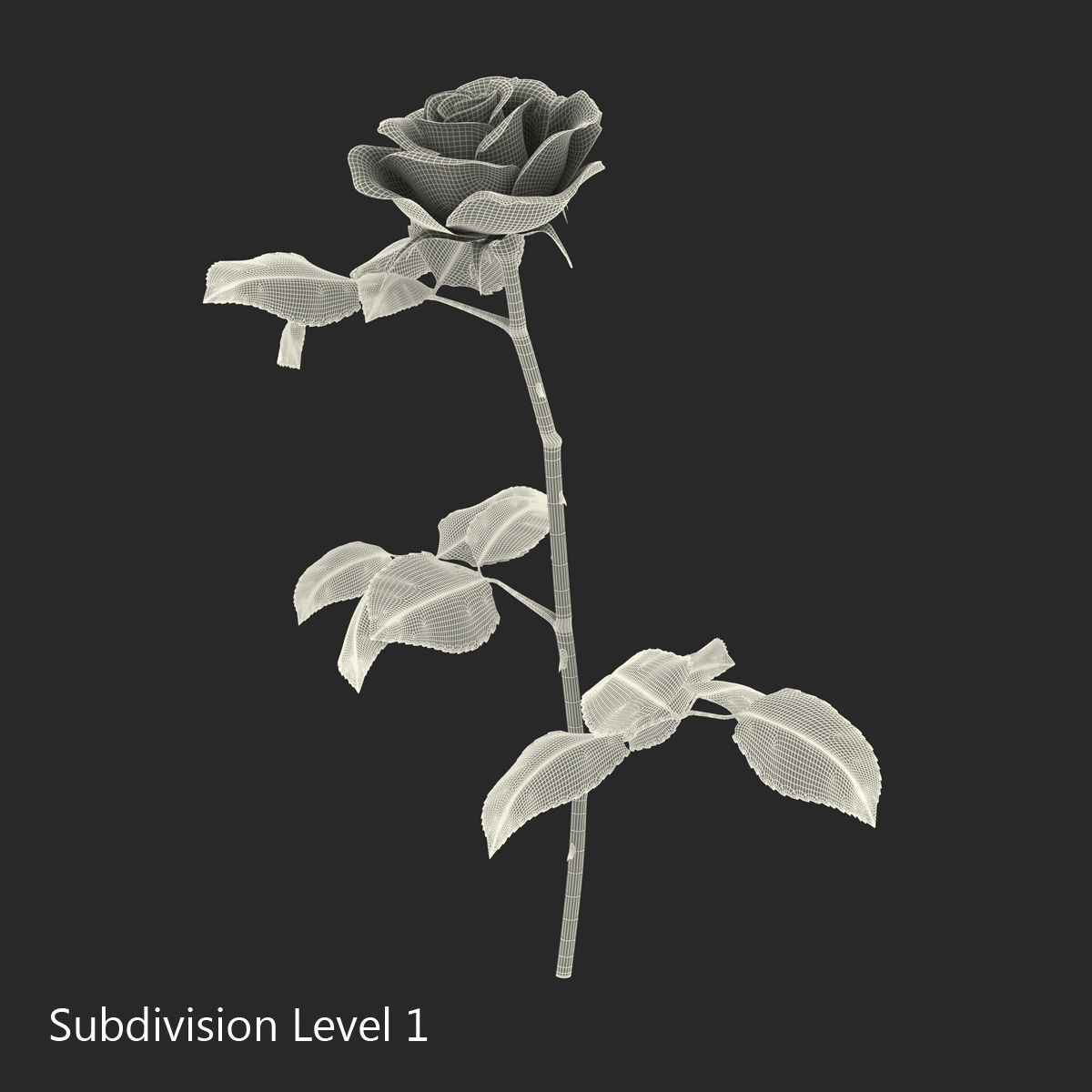 3D model Rose 3