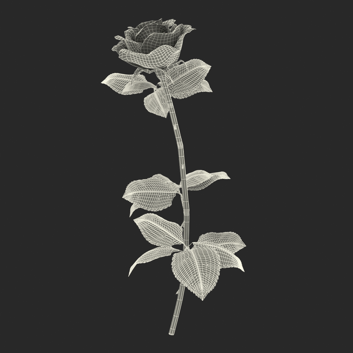 3D model Rose 3