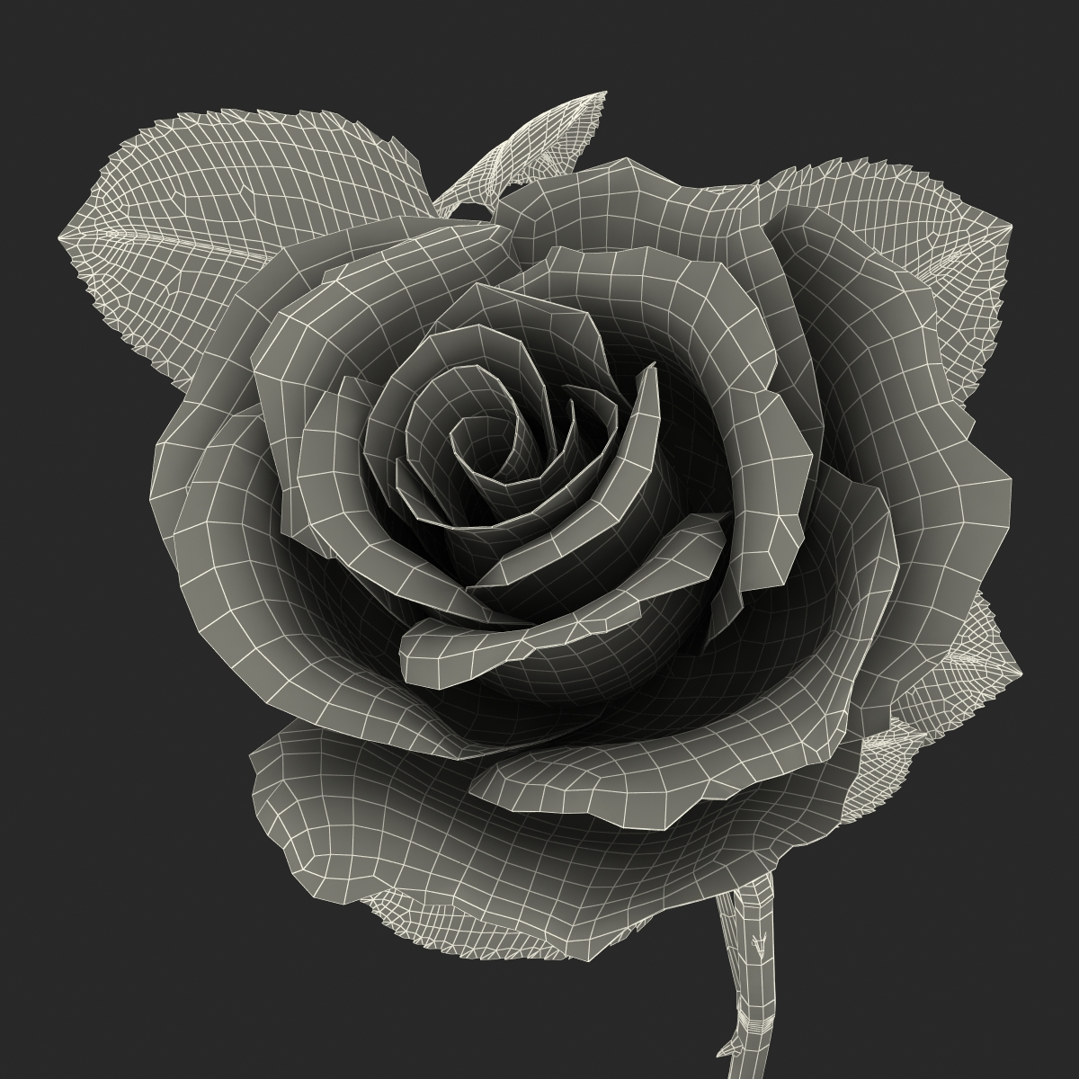 3D model Rose 3