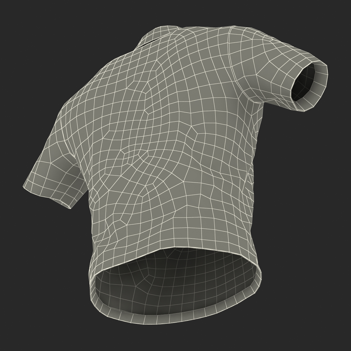 T Shirt 3 3D model