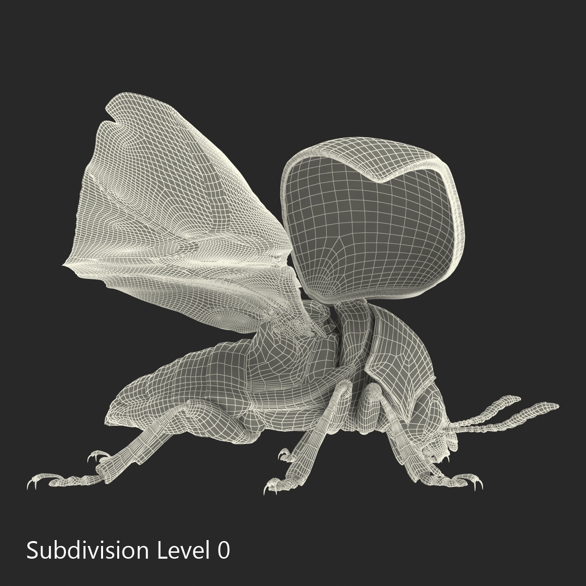 3D model Colorado Potato Beetle 2 Rigged for Cinema 4D