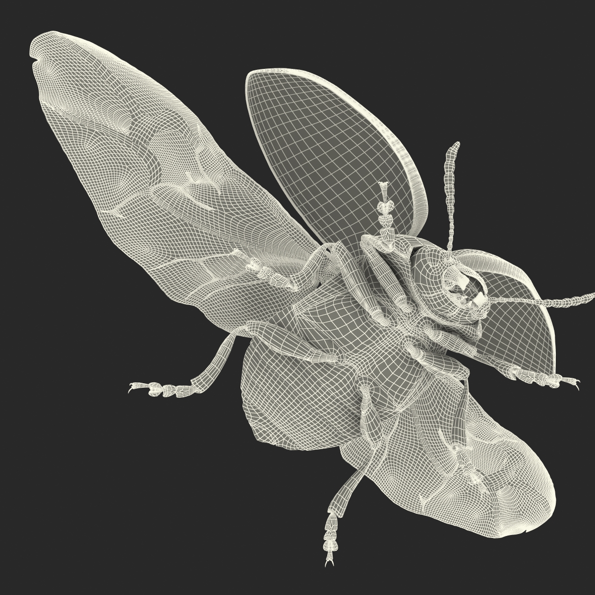 3D model Colorado Potato Beetle 2 Rigged for Cinema 4D