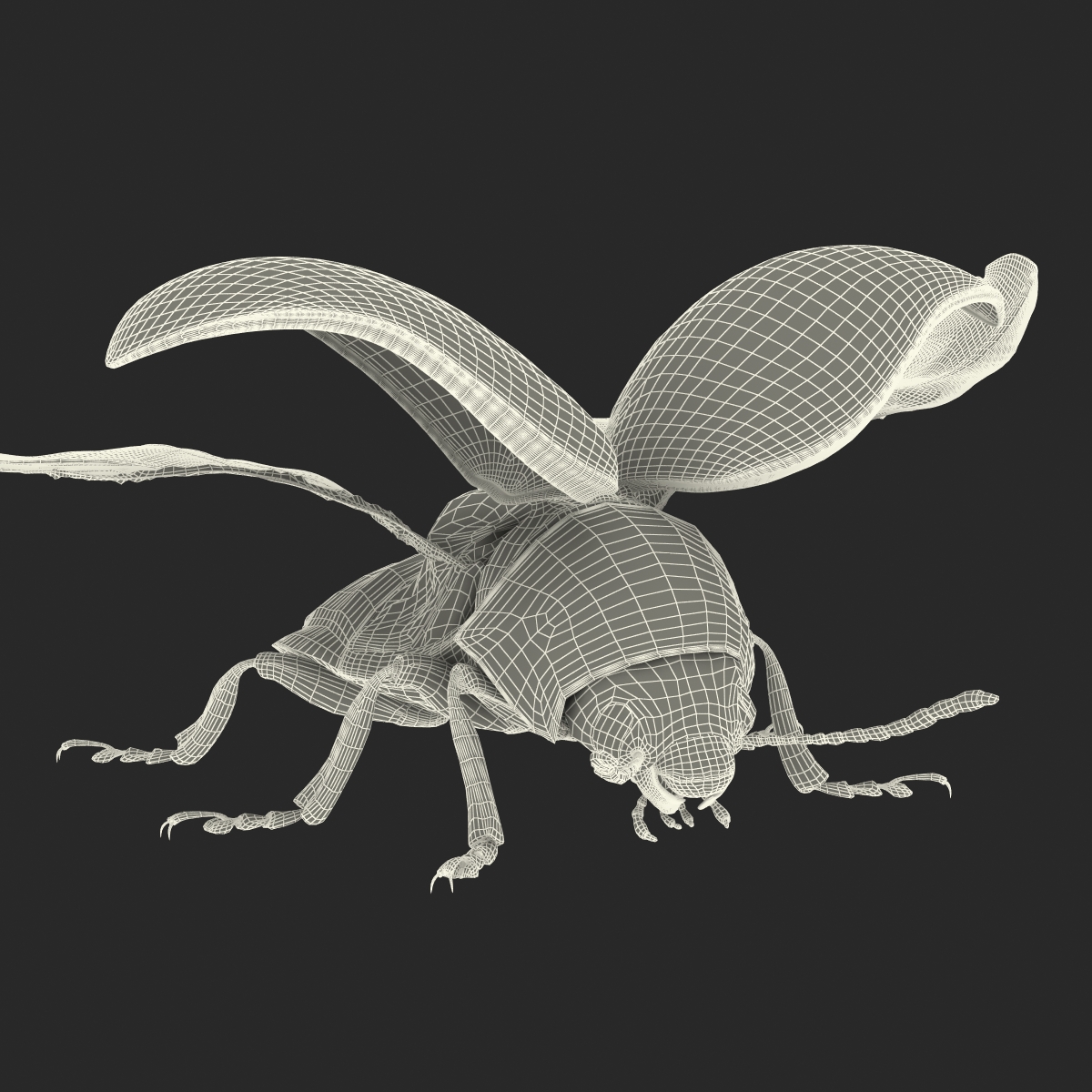 3D model Colorado Potato Beetle 2 Rigged for Maya