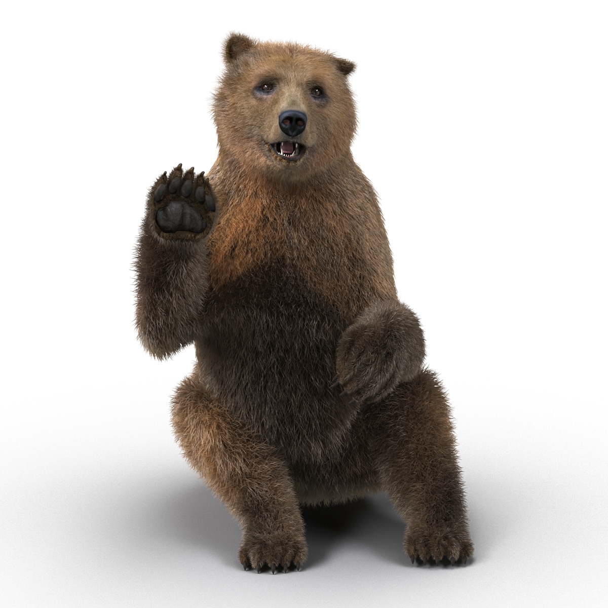 3D Brown Bear with Fur Rigged