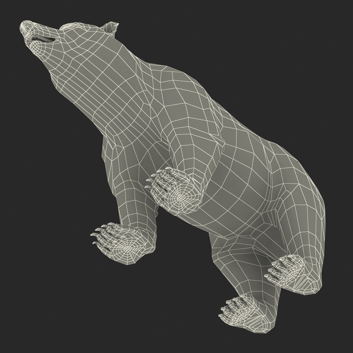 3D Brown Bear with Fur Rigged