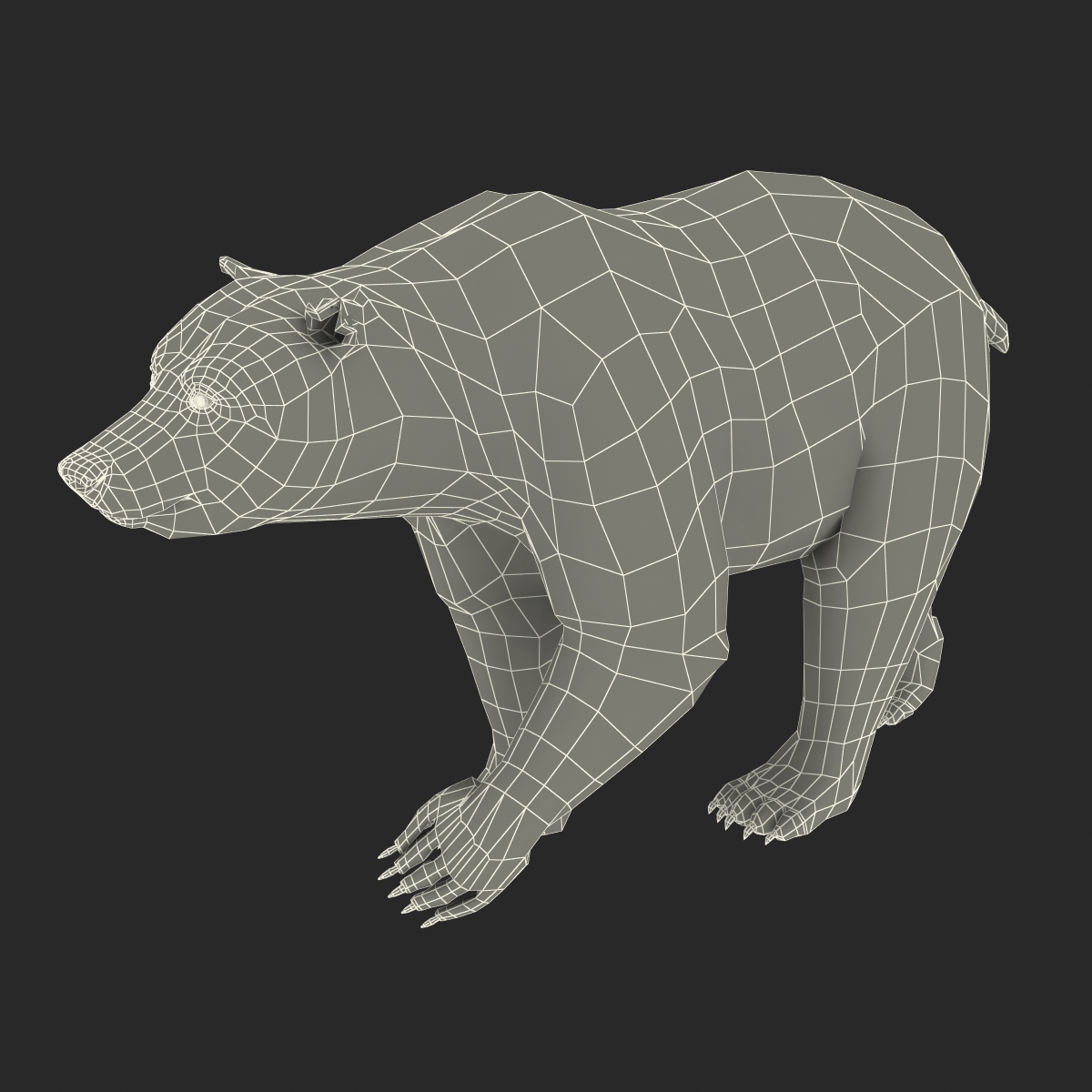 3D Brown Bear with Fur Rigged