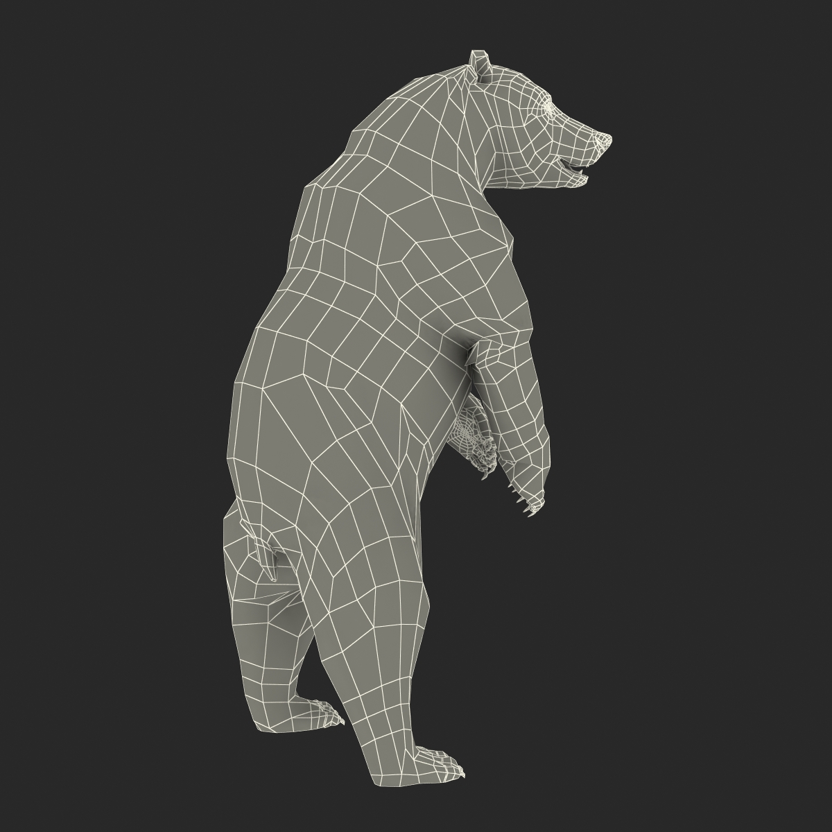 3D Brown Bear with Fur Rigged