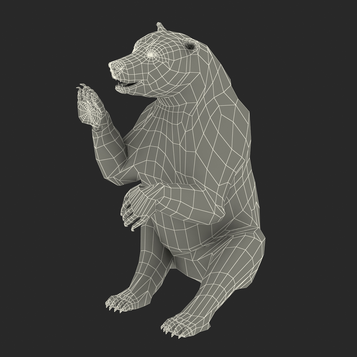 3D Brown Bear with Fur Rigged