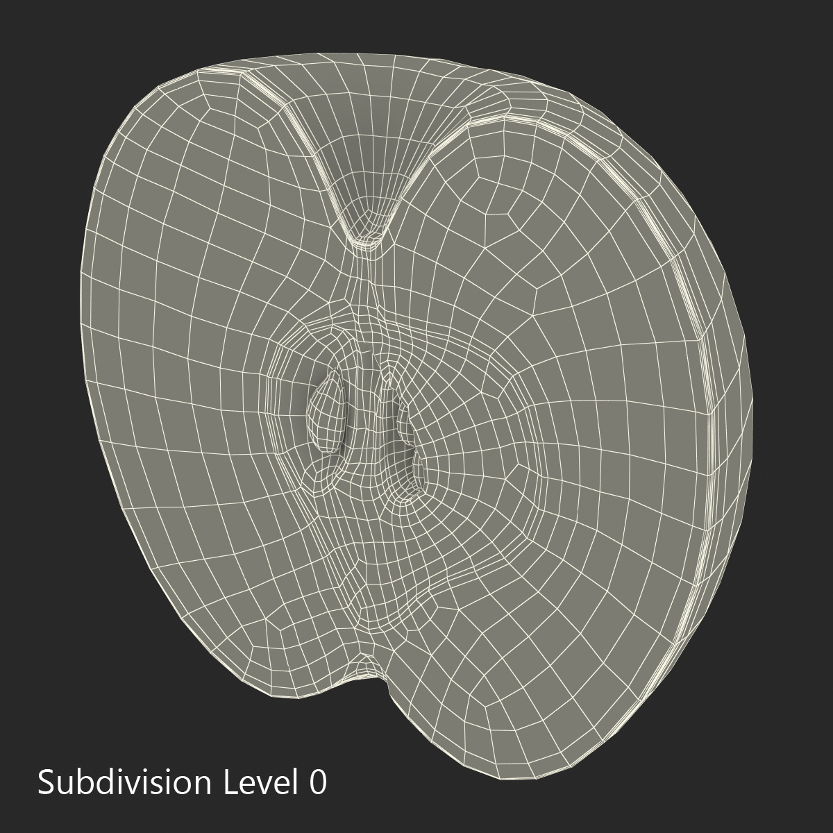 3D Green Apple Cut in Half model