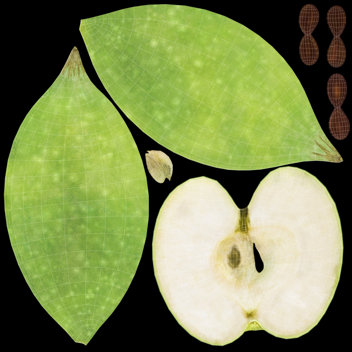 3D Green Apple Cut in Half model