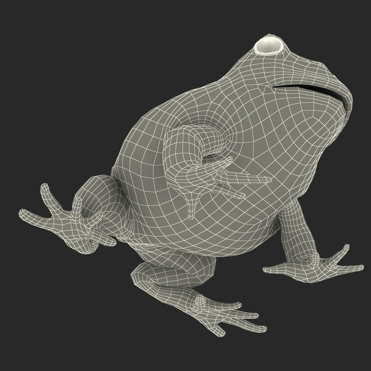 3D Pacman Frog