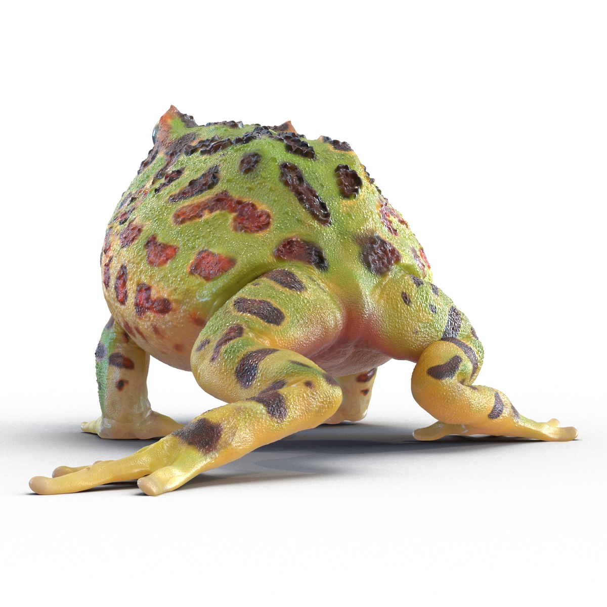 3D Pacman Frog Pose 2 model