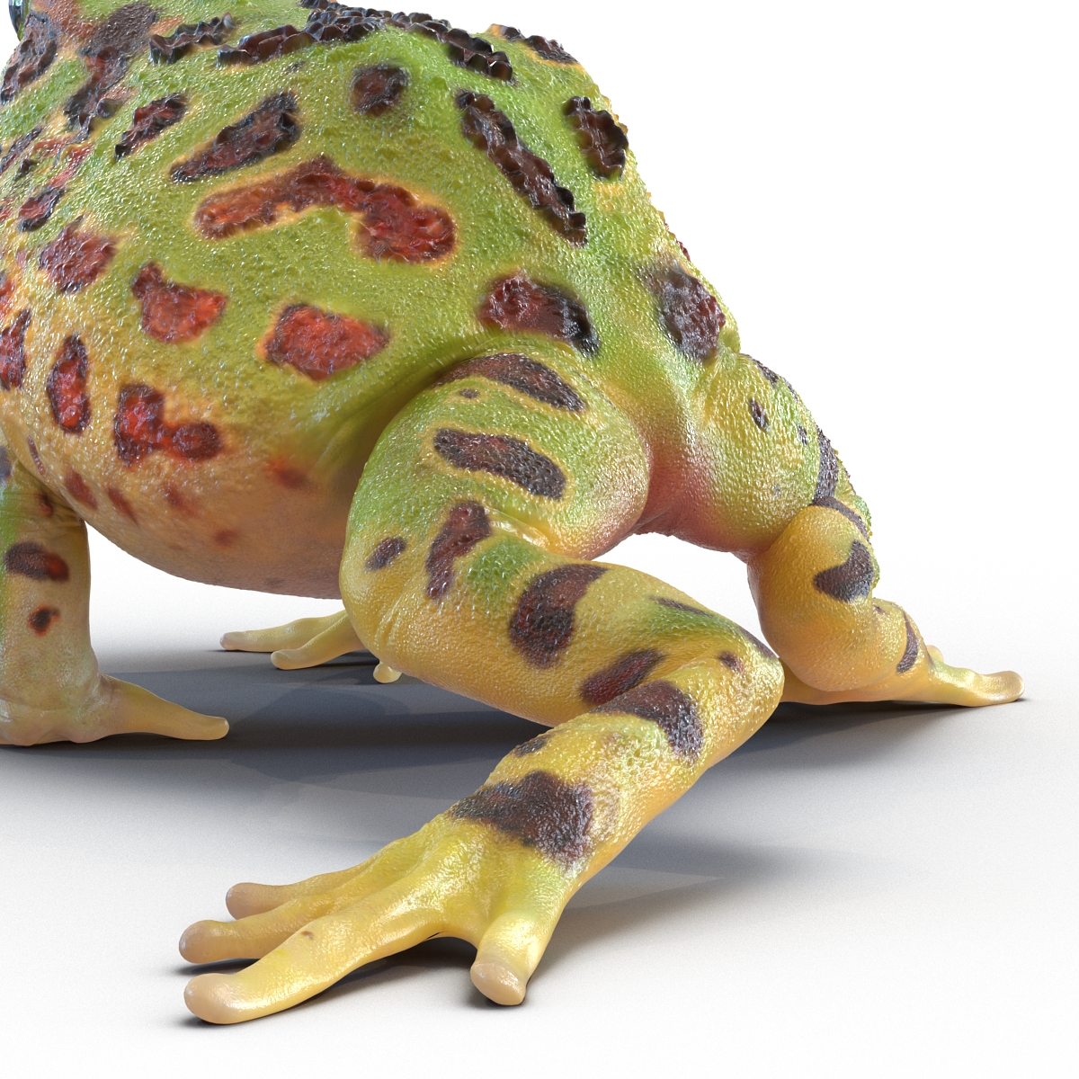 3D Pacman Frog Pose 2 model