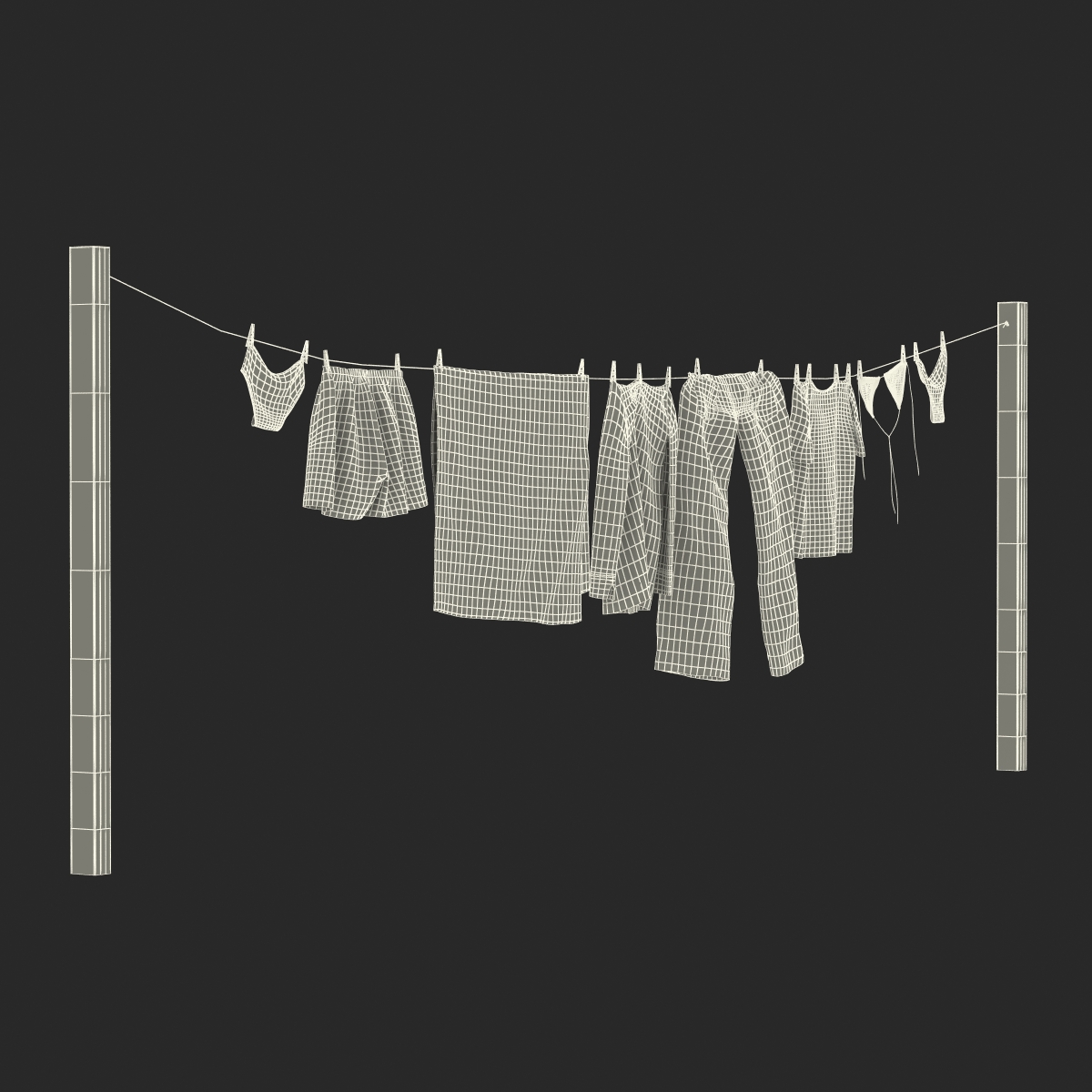 Clothes Line 2 3D model