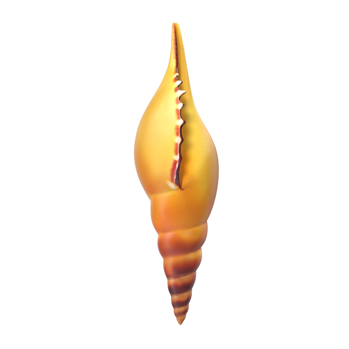 3D model Seashell