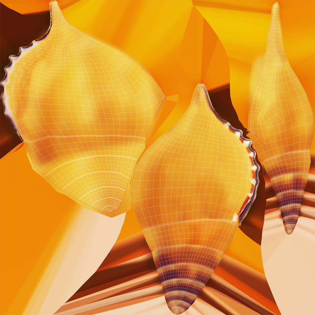 3D model Seashell