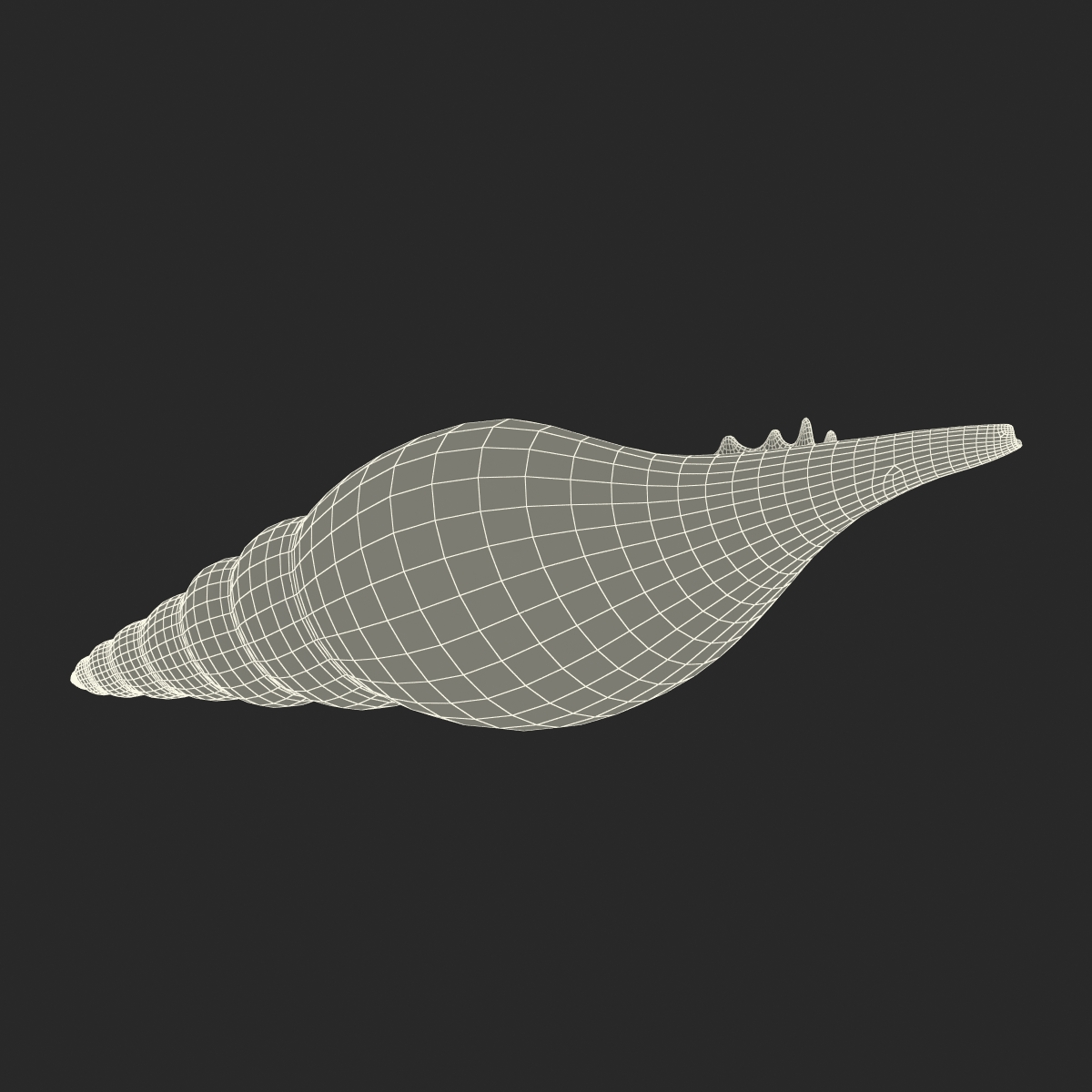 3D model Seashell