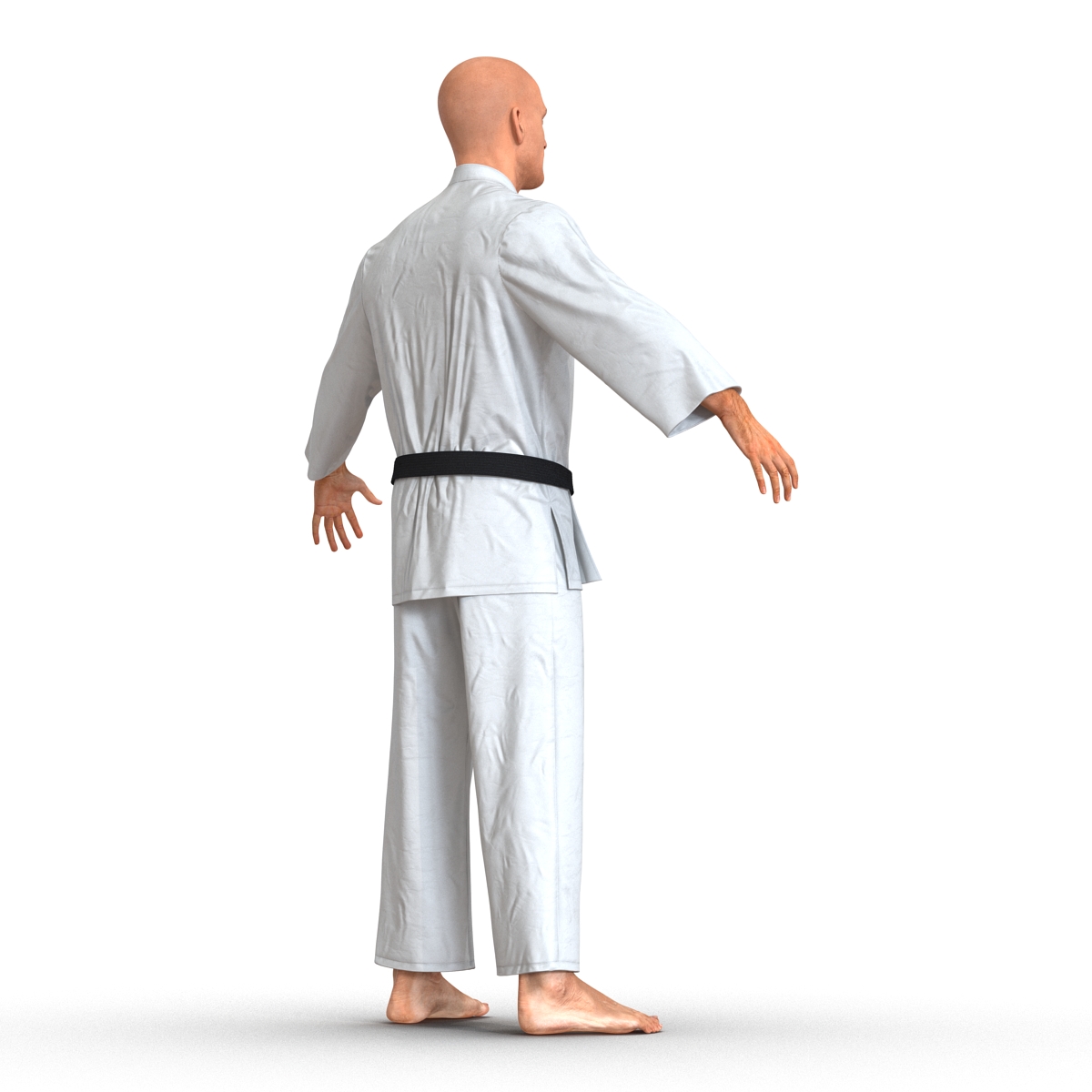 Karate Fighter 3D model