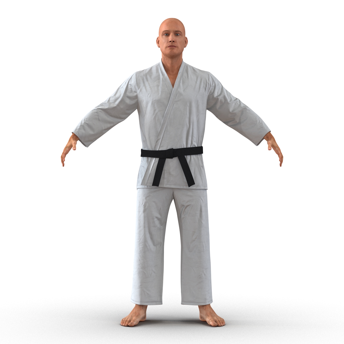 Karate Fighter 3D model