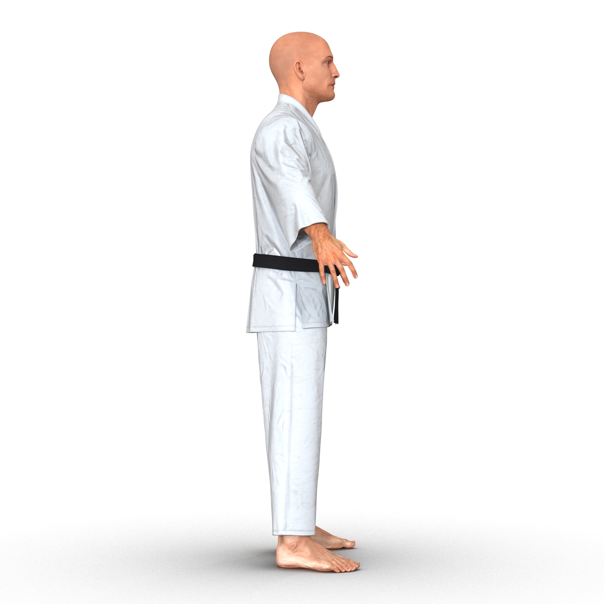 Karate Fighter 3D model