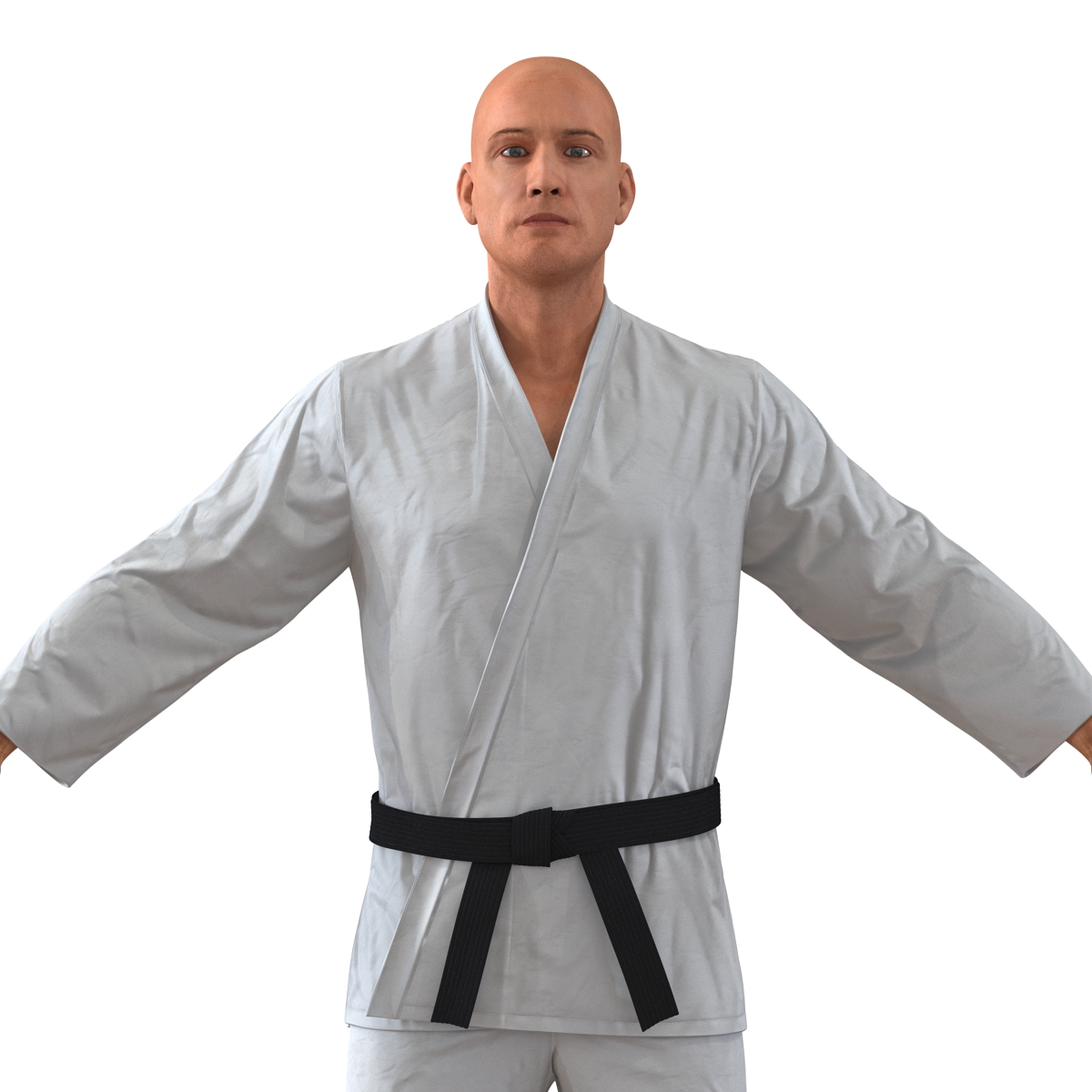 Karate Fighter 3D model