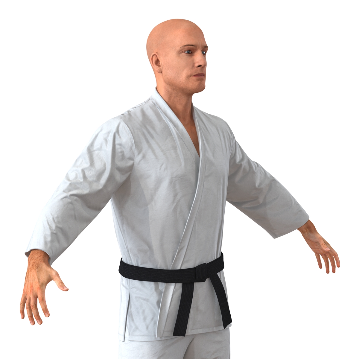 Karate Fighter 3D model