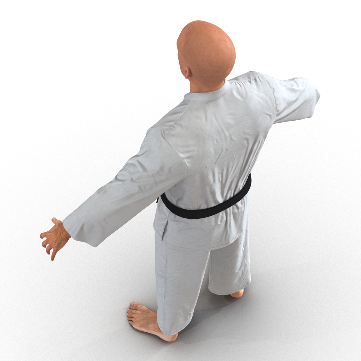 Karate Fighter 3D model