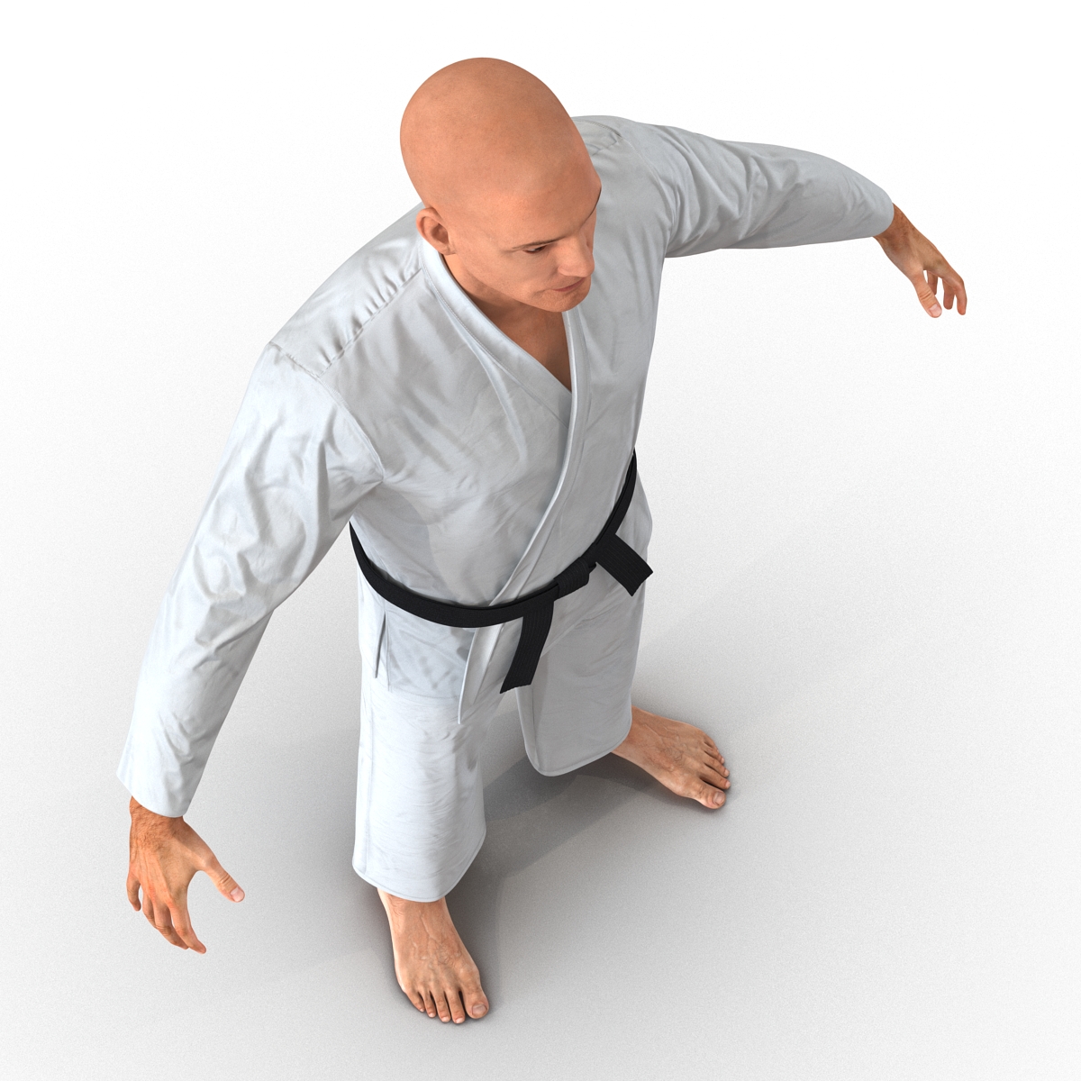 Karate Fighter 3D model