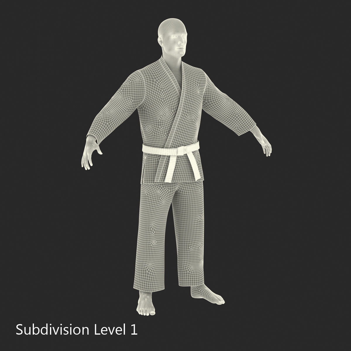 Karate Fighter 3D model