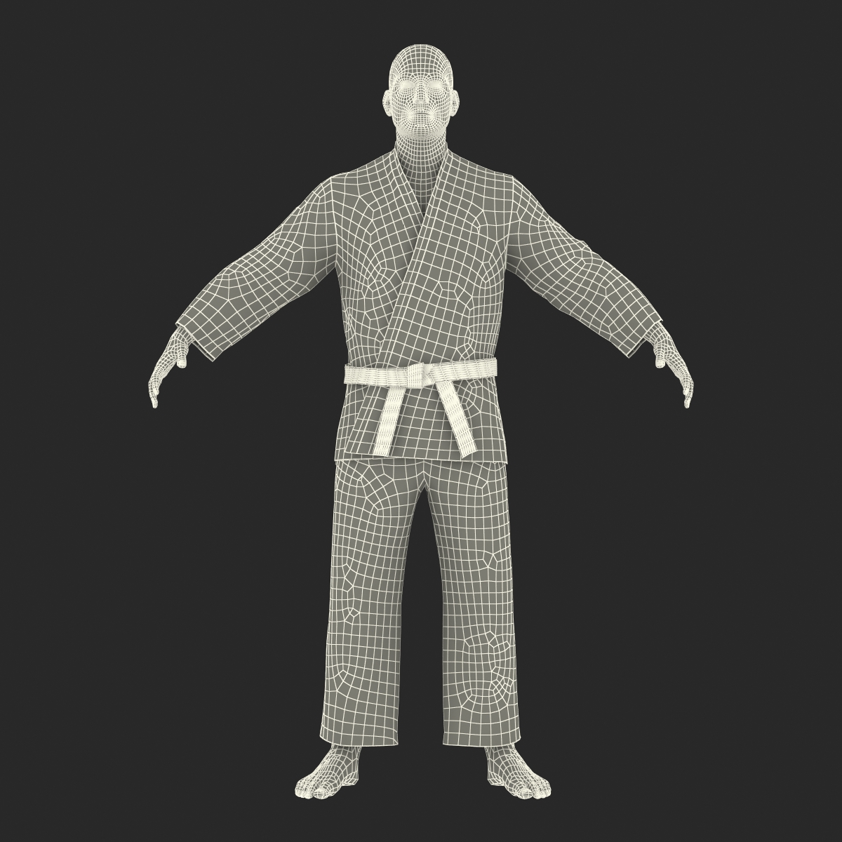 Karate Fighter 3D model