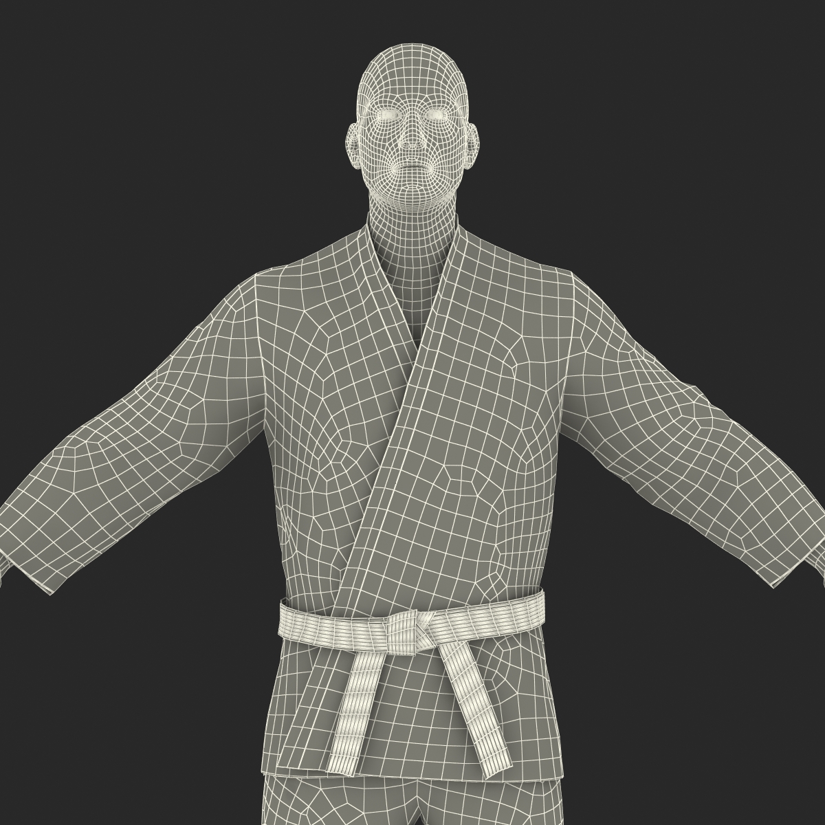 Karate Fighter 3D model