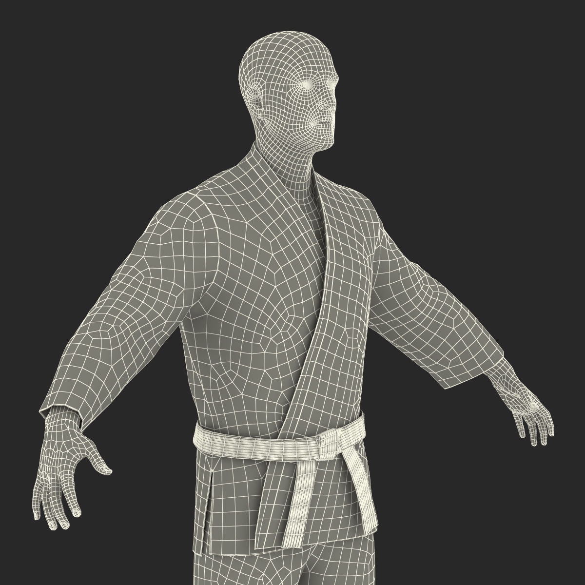 Karate Fighter 3D model