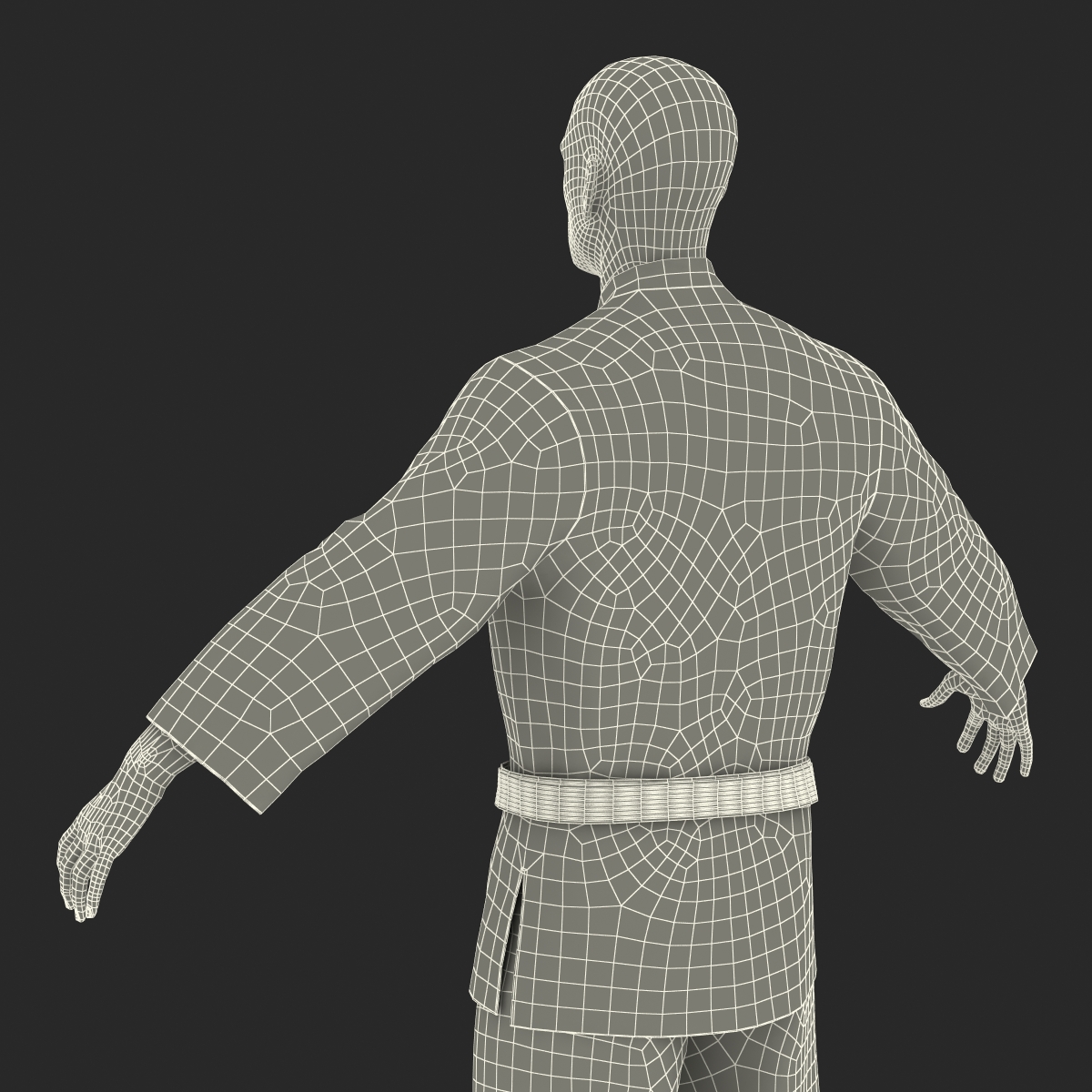 Karate Fighter 3D model