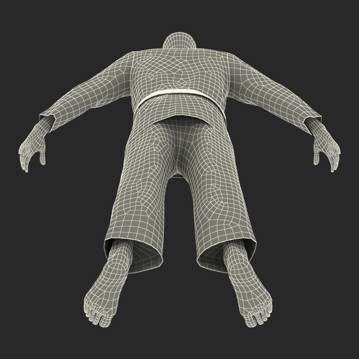 Karate Fighter 3D model