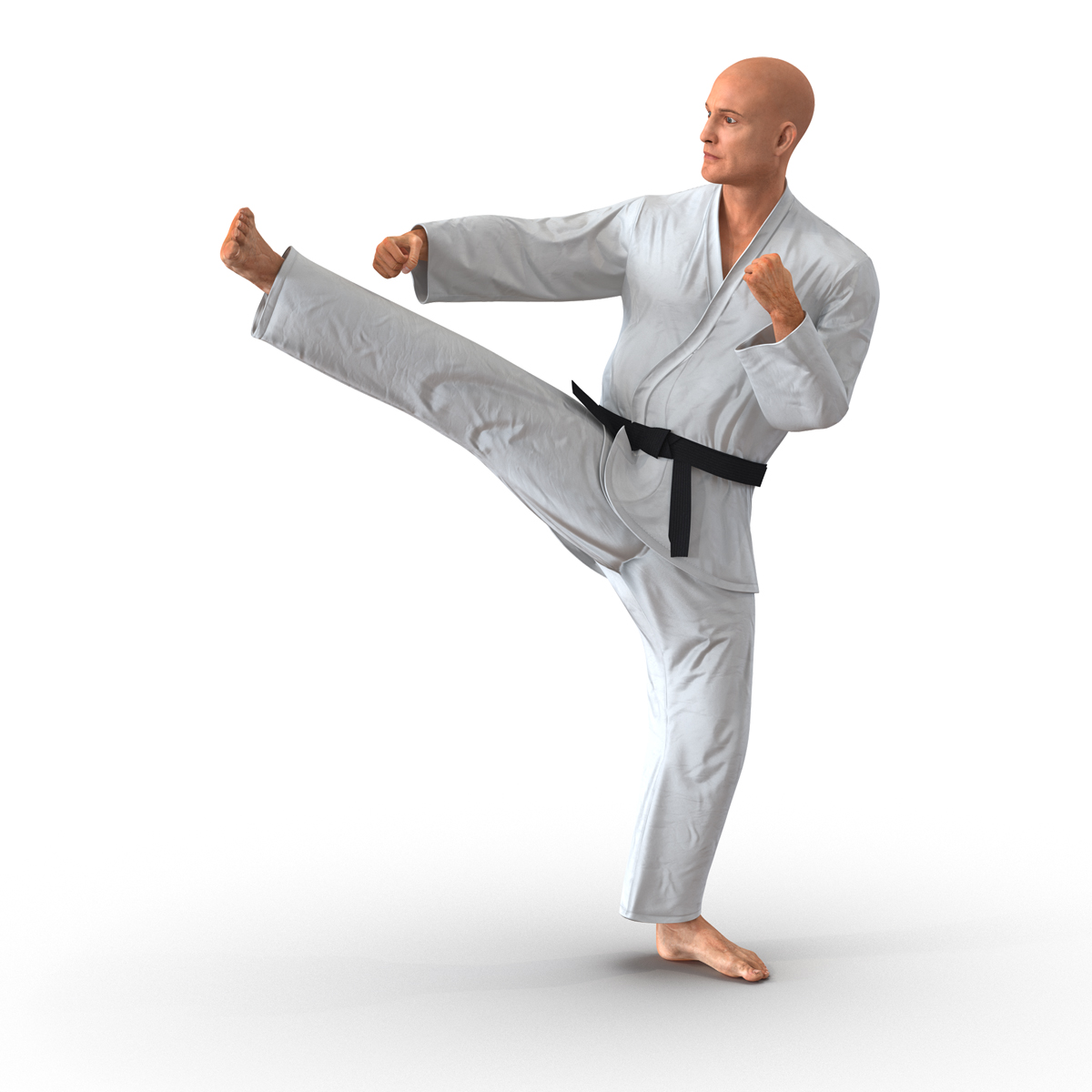 3D Karate Fighter Pose 2