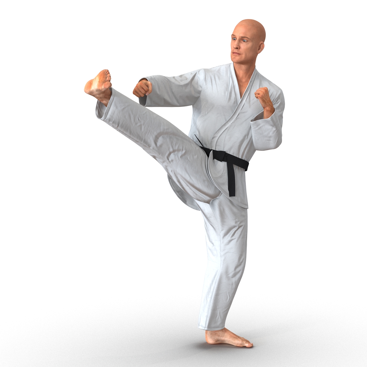 3D Karate Fighter Pose 2