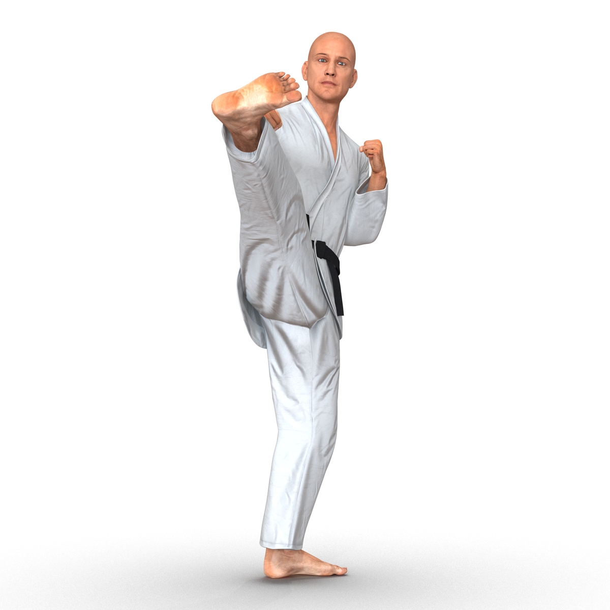 3D Karate Fighter Pose 2