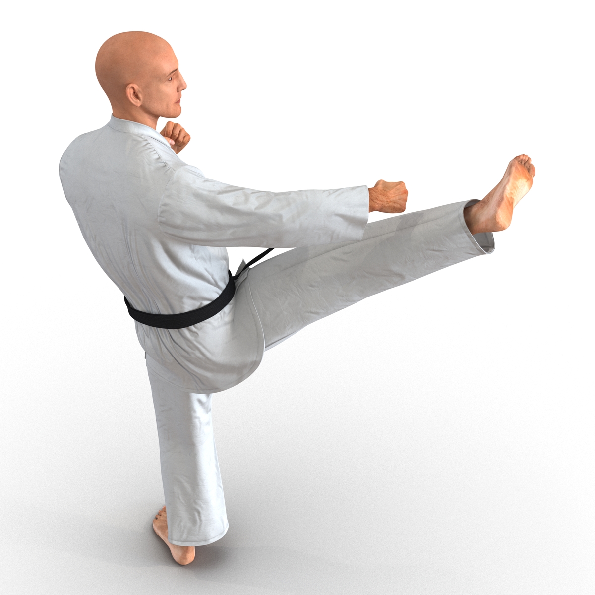 3D Karate Fighter Pose 2