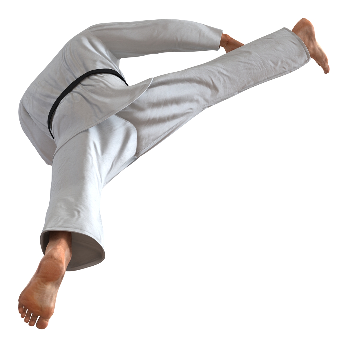 3D Karate Fighter Pose 2