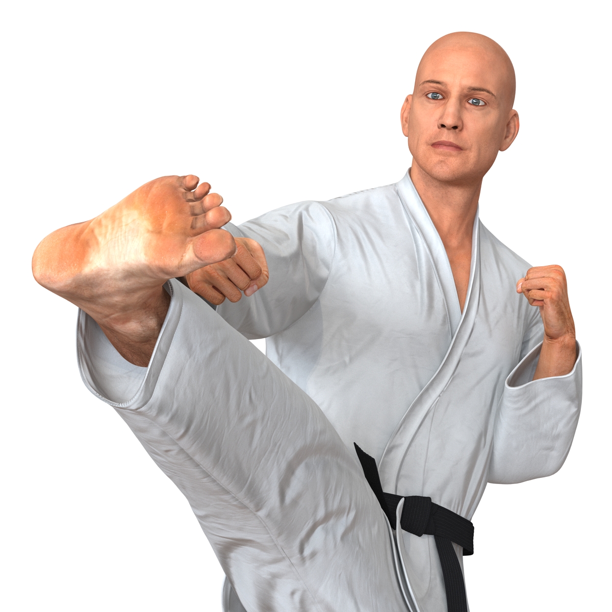 3D Karate Fighter Pose 2